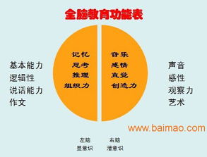 山東臨沂與臨沭全腦開發(fā)服務(wù) 可靠提供商、廠家與價(jià)格咨詢指南